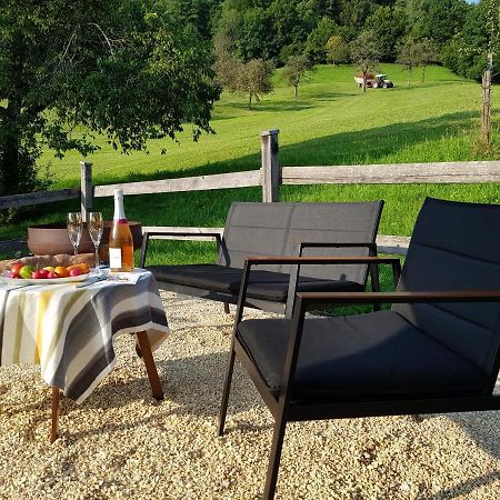 Business Apartment Schwarzach Экстерьер фото