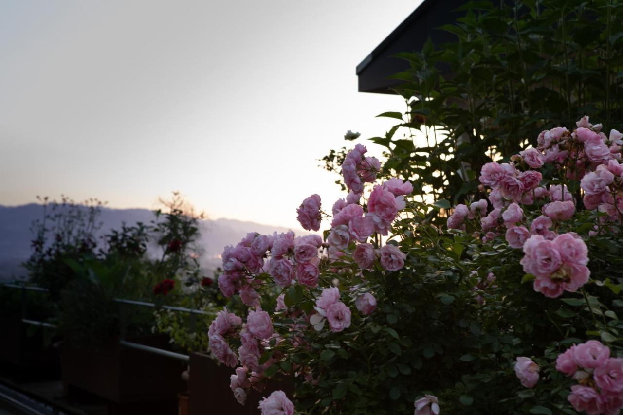 Business Apartment Schwarzach Экстерьер фото
